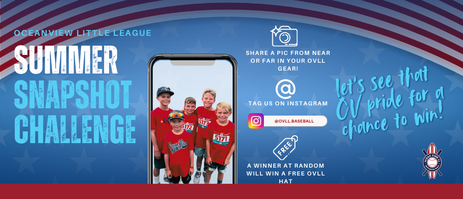 WEB Summer Snapshot Challenge